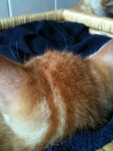 2013-07-16 19.11.07.jpg