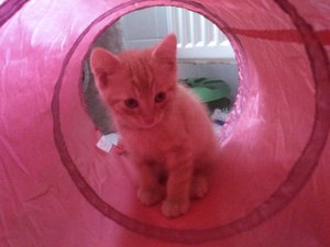 2013-07-16 19.16.22.jpg