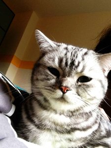 ImageUploadedByTapatalk 21374042905.977761.jpg