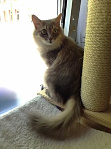 ImageUploadedByTapatalk 21374155137.238884.jpg