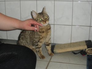 IMGP2525 (1024x768).jpg