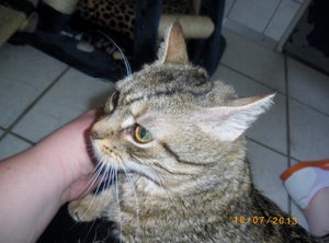 IMGP2527 (1024x757).jpg