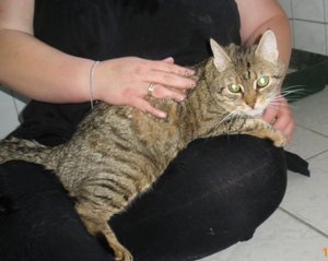 IMGP2529 (1024x813).jpg