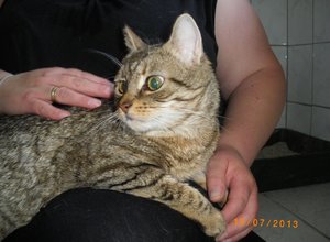 IMGP2532 (1024x750).jpg