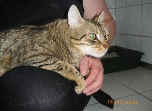 IMGP2533 (1024x750).jpg