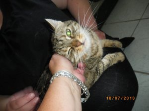 IMGP2536 (1024x768).jpg