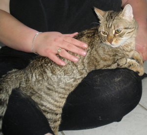 IMGP2541 (1024x938).jpg