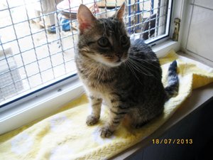 IMGP2544 (1024x768).jpg