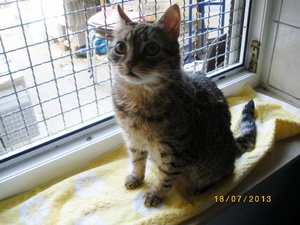 IMGP2545 (1024x768).jpg