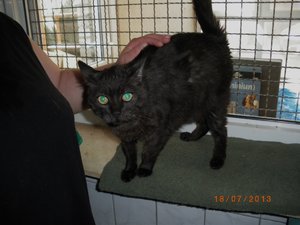 IMGP2546 (1024x768).jpg