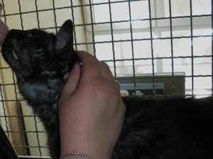 IMGP2550 (1024x768).jpg