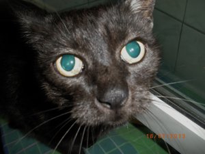 IMGP2552 (1024x768).jpg