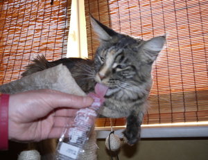 Wassereis für Luisa.jpg