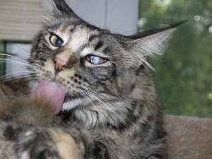 Luisa Waschlappen.jpg