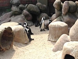 ImageUploadedByTapatalk 21374181730.301251.jpg