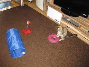 Mookait 001_912x684.jpg