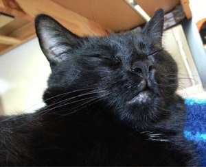 ImageUploadedByTapatalk 21374418048.257020.jpg