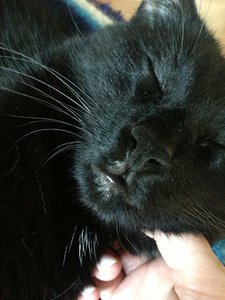 ImageUploadedByTapatalk 21374418309.687703.jpg