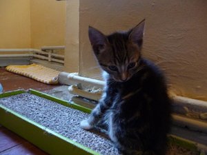 Kopie von P1050733.JPG