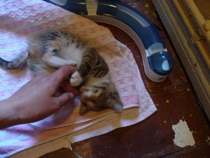 Kopie von P1050741.JPG