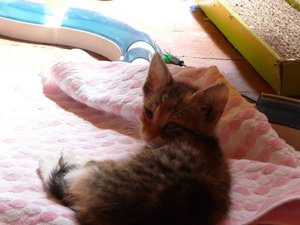 Kopie von P1050746.JPG