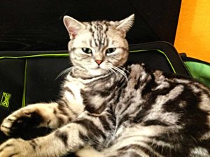 ImageUploadedByTapatalk 21374659429.706563.jpg