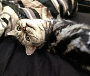 ImageUploadedByTapatalk 21374659577.110245.jpg