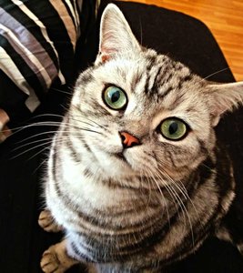 ImageUploadedByTapatalk 21374659632.943833.jpg