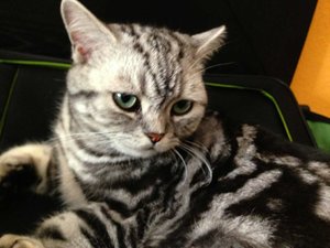 ImageUploadedByTapatalk 21374659680.760144.jpg