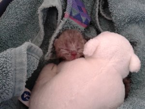 2013-07-19 10.21.32.jpg