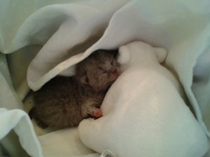 2013-07-22 20.44.12.jpg