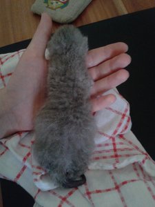 2013-07-24 13.35.49.jpg