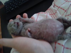 2013-07-24 13.36.18.jpg