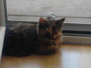 2013-07-24 13.20.08.jpg