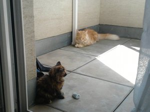 2013-07-24 13.52.57.jpg