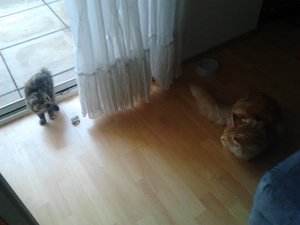 2013-07-24 12.15.39.jpg