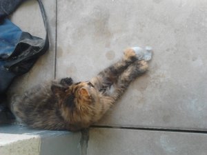 2013-07-24 14.19.29.jpg