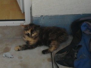 2013-07-24 14.16.15.jpg