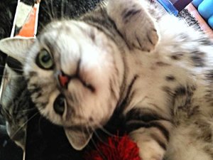 ImageUploadedByTapatalk 21374678641.971053.jpg