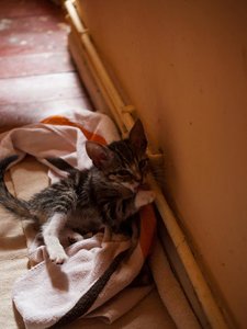 Kopie von _DSC0237-15.JPG