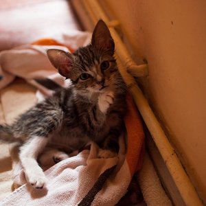 Kopie von _DSC0242-13.JPG