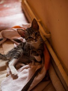 Kopie von _DSC0245-13.JPG