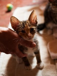 Kopie von _DSC0251-10.JPG