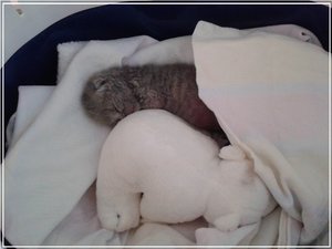 2013-07-25 10.37.47.jpg