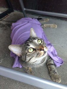 ImageUploadedByTapatalk 21374936660.103991.jpg