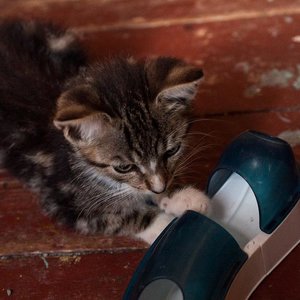 Kopie von _DSC0250-13.JPG