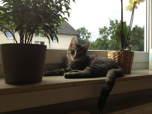 ImageUploadedByTapatalk 21375161053.556228.jpg