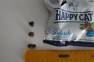 IMG_2445 (Medium).JPG