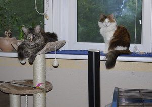 Luisa- Madavi - 16. Juli 2013.jpg