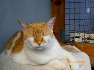 IMGP2601 (1024x767).jpg